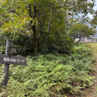 直進。上乙見方面に向かいます。