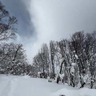 なかなか良かったよー