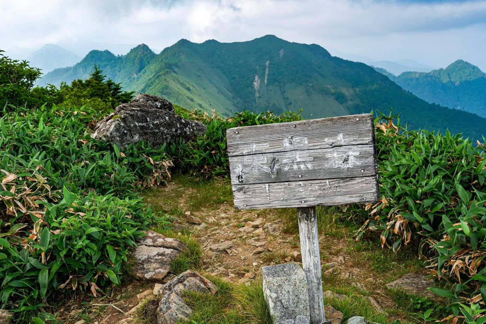 伊予富士登山口-東黒森 往復コースの写真