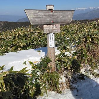 横川山。標柱は文字が薄くて何が書いてあるか読み取りにくいです