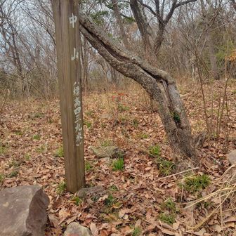 中山君、急登過ぎん😅