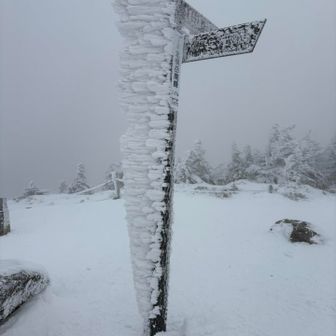 山頂直下の急登で温まったのですが
山頂は爆風で雪や小石が飛んでくる
立っていられなかったです😵
