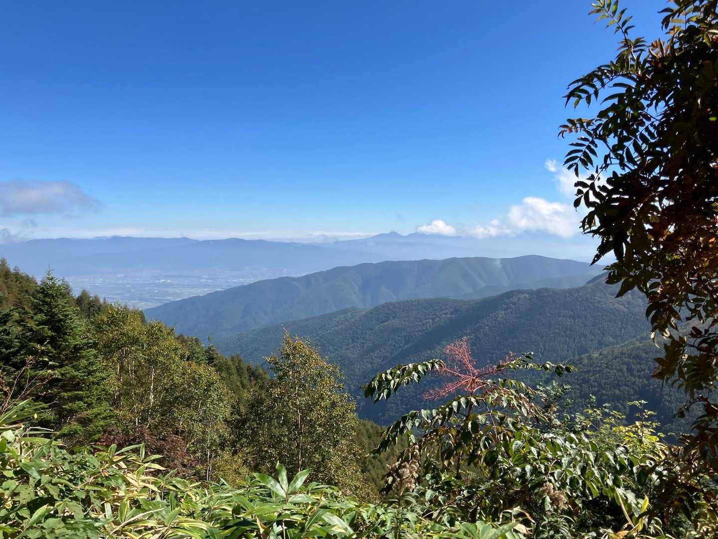 鉢盛山 往復コースの写真