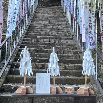 山に入る感じ