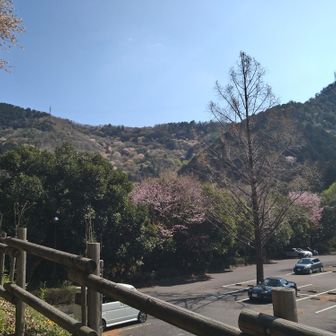 🌸色づいてる百々ヶ峰
登り同様たっぷり時間をかけて下山しました。