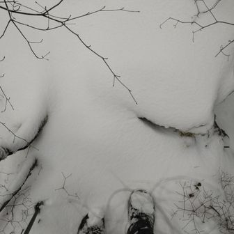 まあまぁの痩せ尾根

雪となると いつもの登山道も別世界𓂃⟡.·❄＊