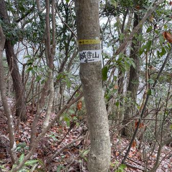 二つ目のピークに到着。