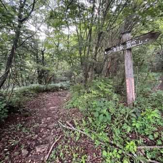 ←清里駅まで、3.5km地点
