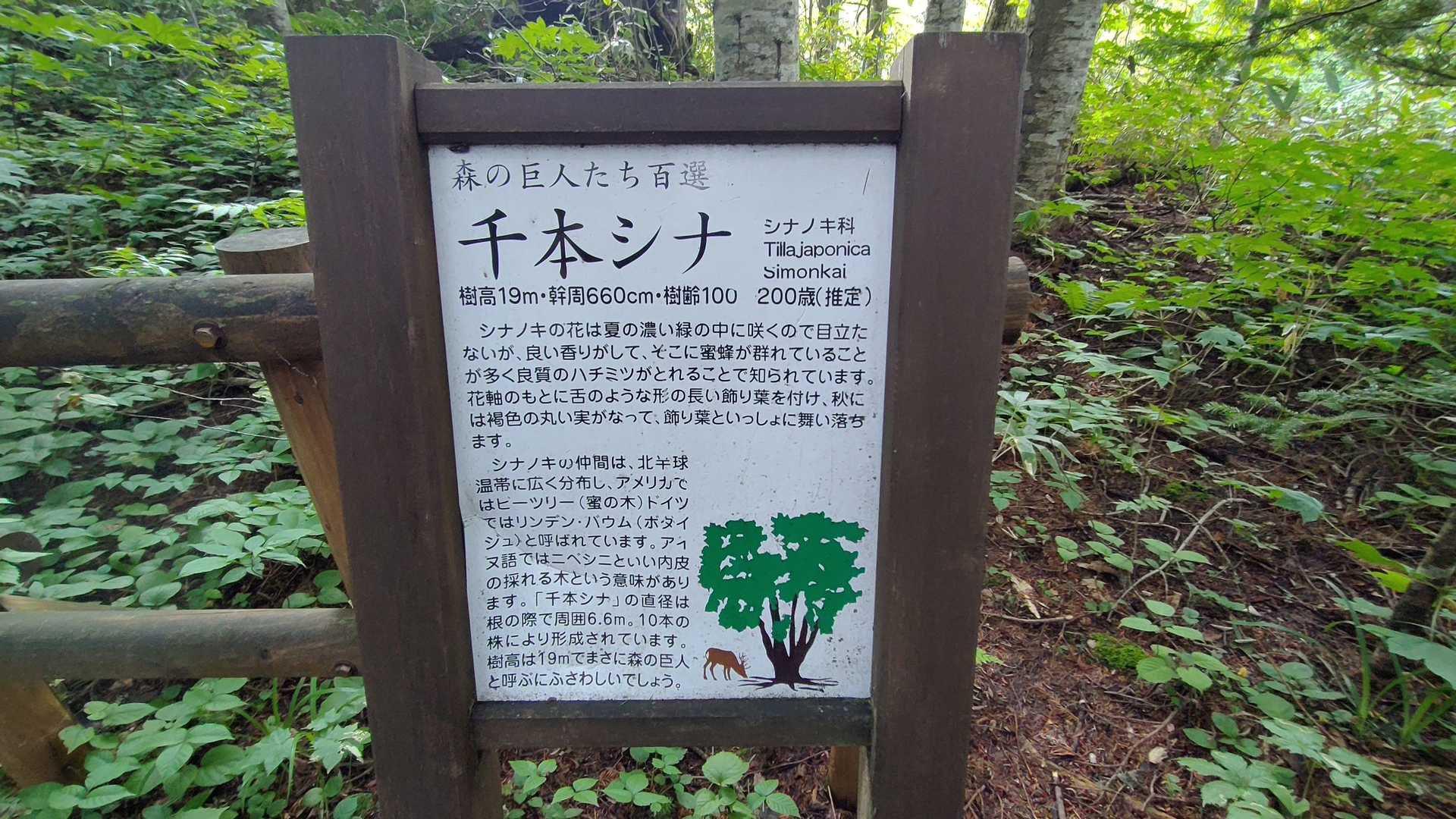 ほ~ほ~