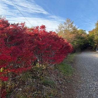 早速真っ赤な紅葉が出迎えてくれた😄
