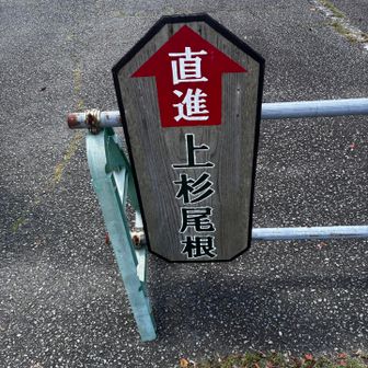 上杉尾根で帰る
ルートも全てお任せでおんぶに抱っこです👦