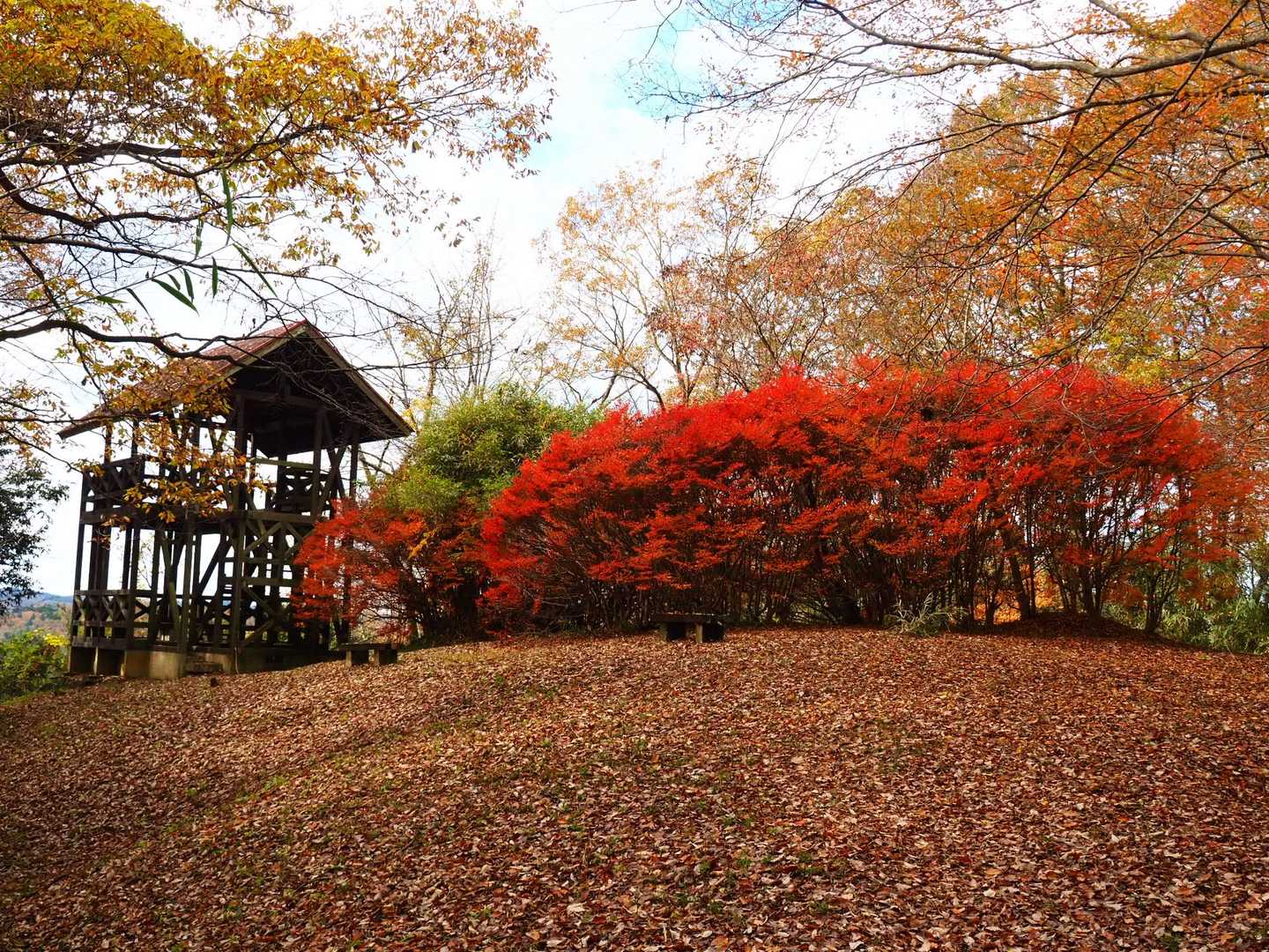 山頂の展望台
