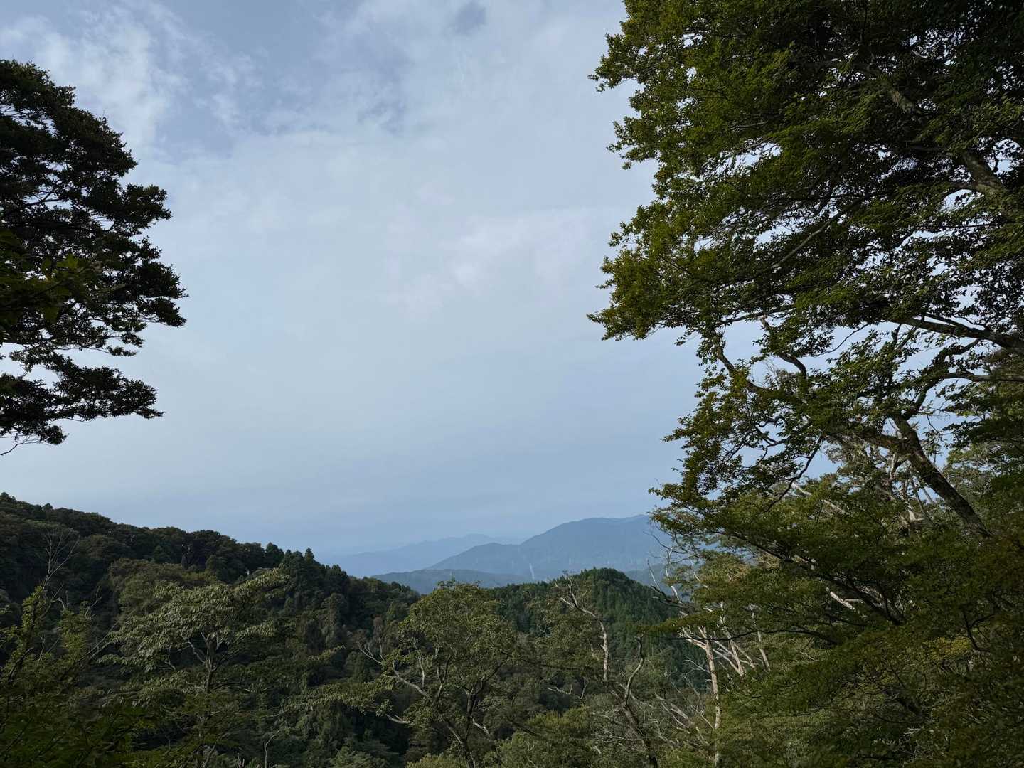 水越峠登山口-金剛山 往復コースの写真