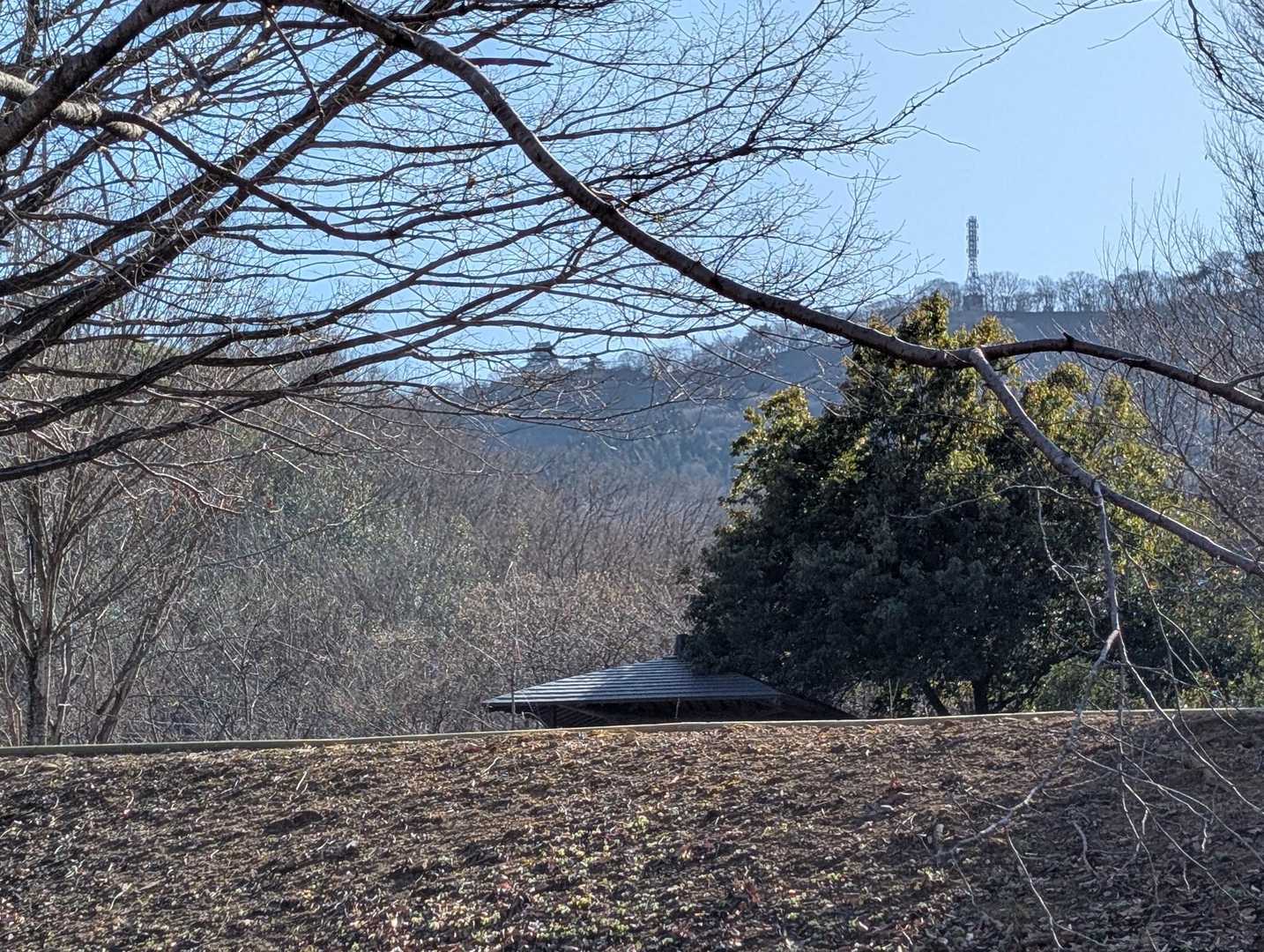 今日のゴールは城