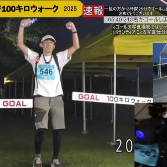 山には木がある