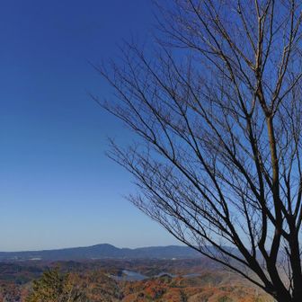黍生山からの眺め③