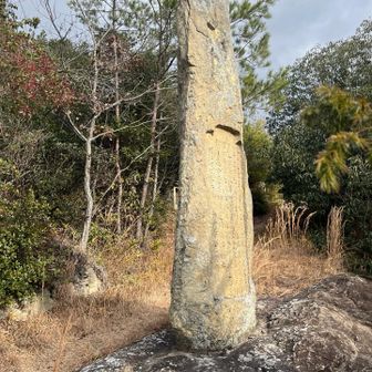 なんか書いてある