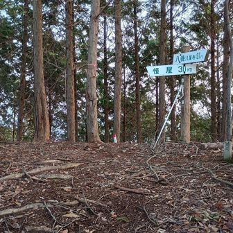 八徳山の山頂です
ここは左に道を取ります