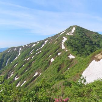 巻道はまだ一部雪渓危ないらしいので巻かないで小朝日へ