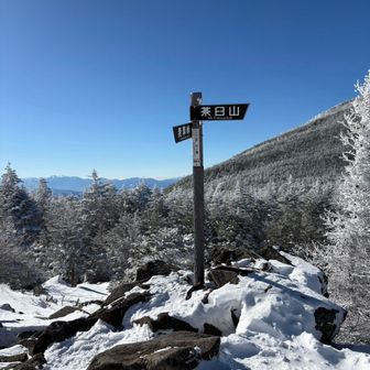 茶臼山のピークは混んでたので中小場で小休止