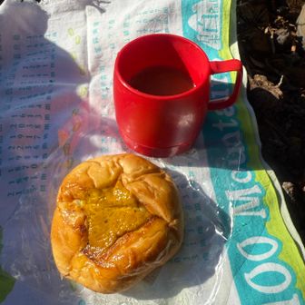 今日のランチ☕️