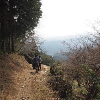 春の訪れのような雰囲気