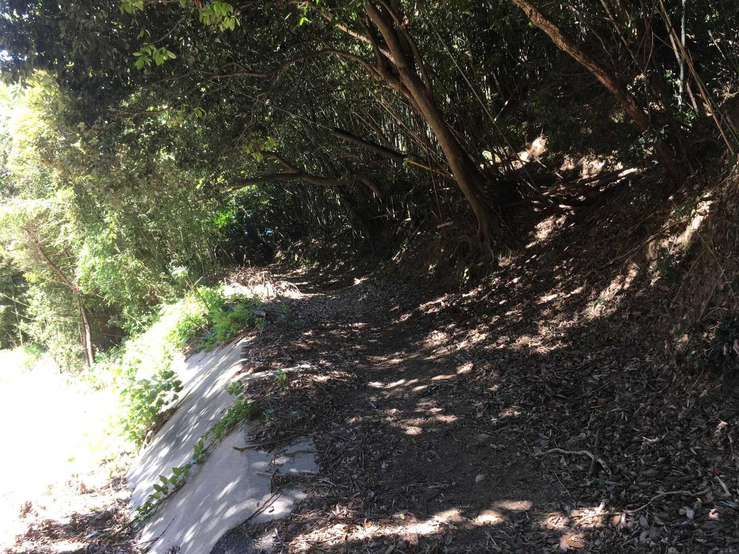 灘山登山口-灘山 縦走コースの写真