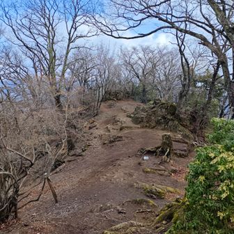 正丸峠へ下ります