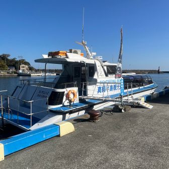 子供の頃、祖父が働くグラスボートによく乗せてもらって、ウミネコにカッパえびせんあげてたのを思い出します☺️
