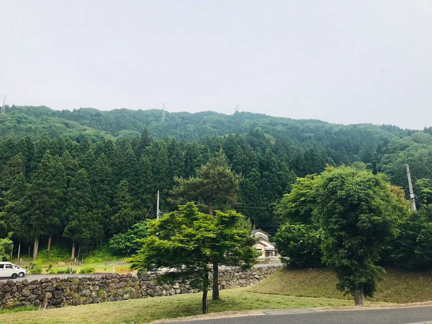 本日の一乗城山でした〜