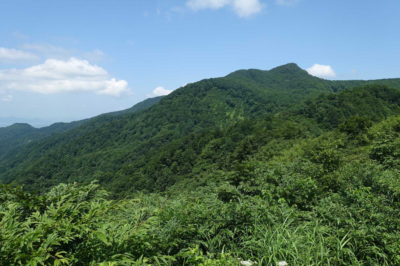 女神山の写真