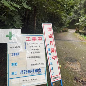 後谷コースも伐採はじまるの❓
後谷コースは今のままがいい😭