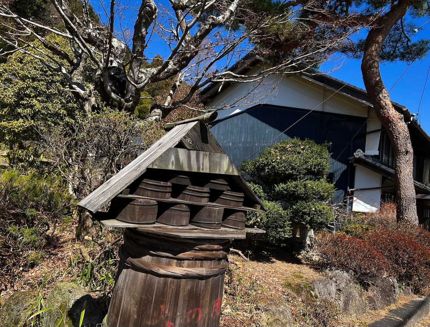 大湫コミュニティセンターバス停-本陣山-琵琶峠-展望塚入口 往復コースの写真