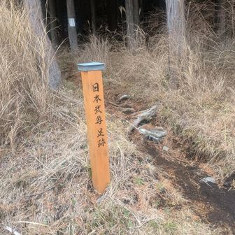 ここから登ります