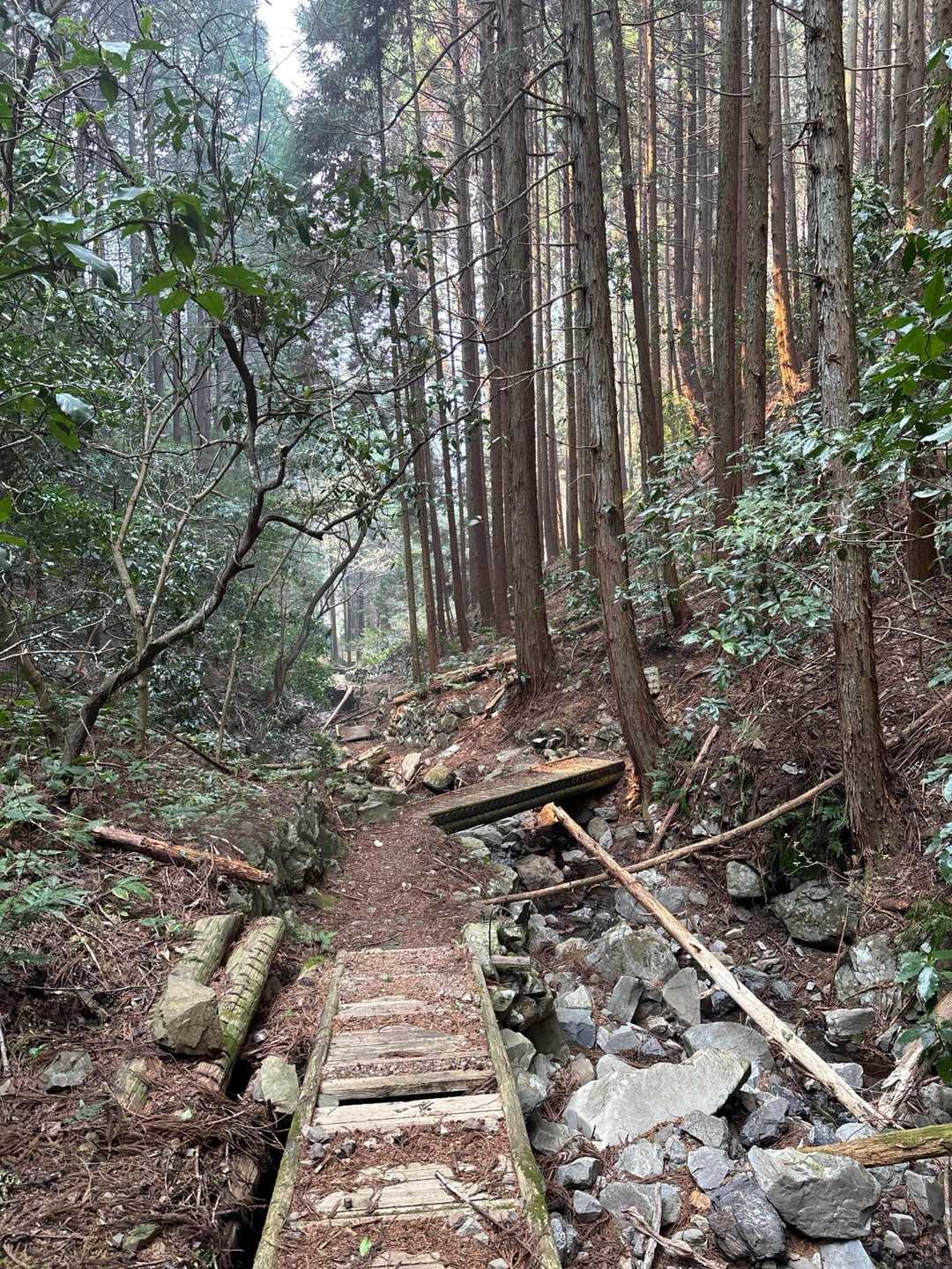 満観峰 周回コースの写真