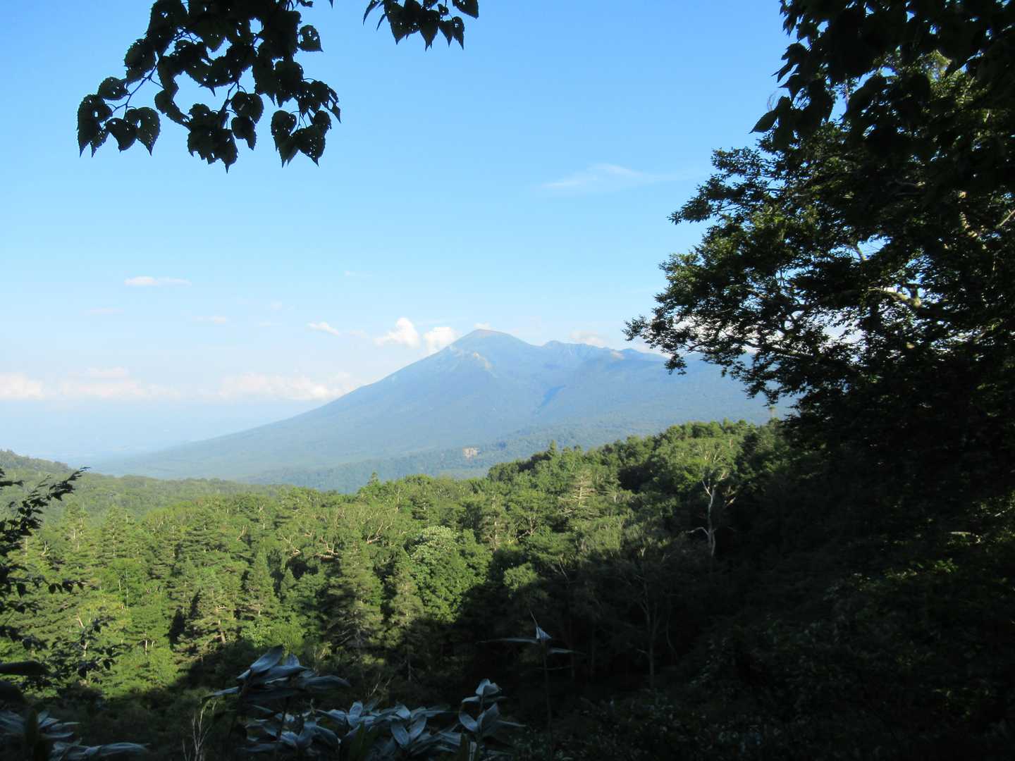 源太ヶ原登山口-源太ヶ岳-大深岳-小畚山-三ツ石 覘標ノ台 周回コースの写真