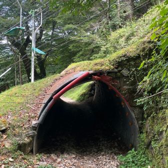 リフトをくぐるトンネル