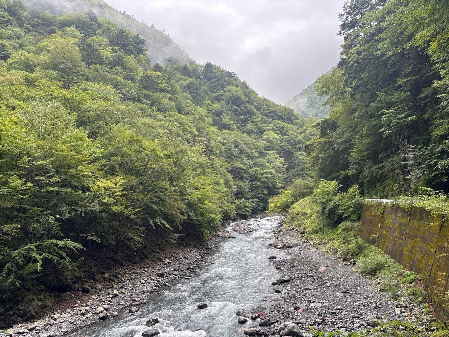 無事に下山できた安堵感があるから帰りの林道歩きって僕は嫌いではないです😊