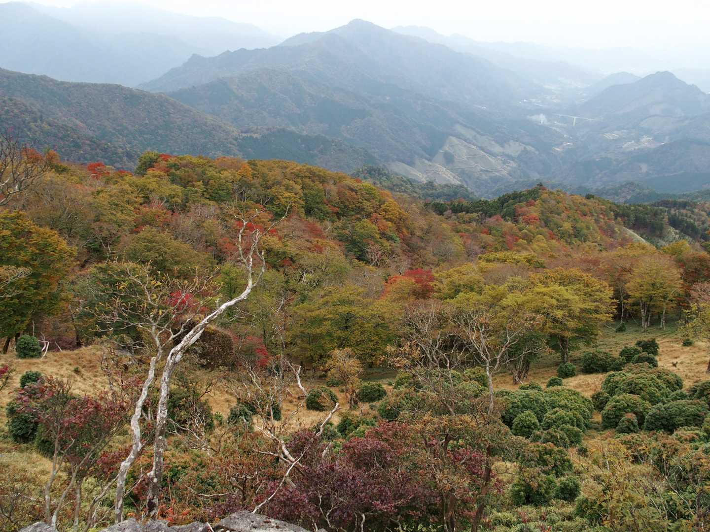 グレーの空やけど…山裾はよか眺め✨