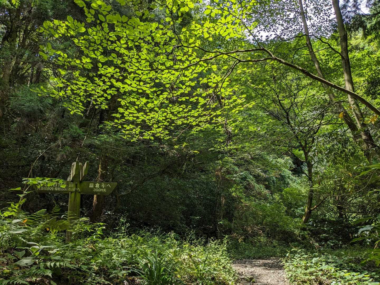 周回路迄登って来ました🚶💦