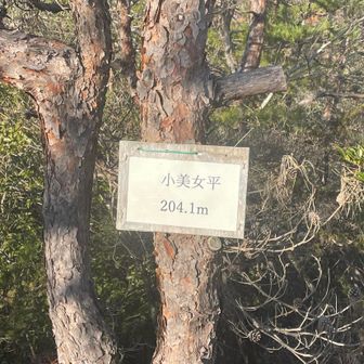 ２座目：小美女平