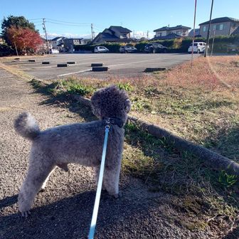 無事下山？
スタート地点に到着