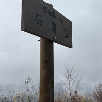 石尊山
344m
官ノ倉と同じ高さだ！