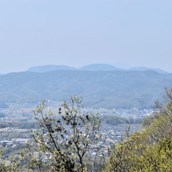 　 西　　本宮高倉山　 金山
　　　　　　　↩️