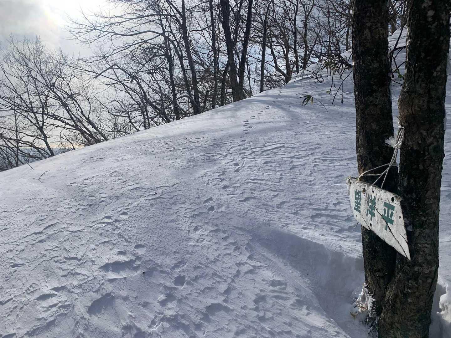 ここの雰囲気好きです