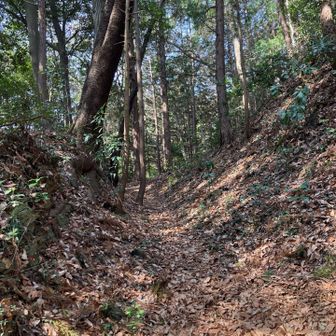 もう一つのお目当て、城山付近の堀跡です。