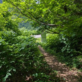 登山口に到着したー‼️