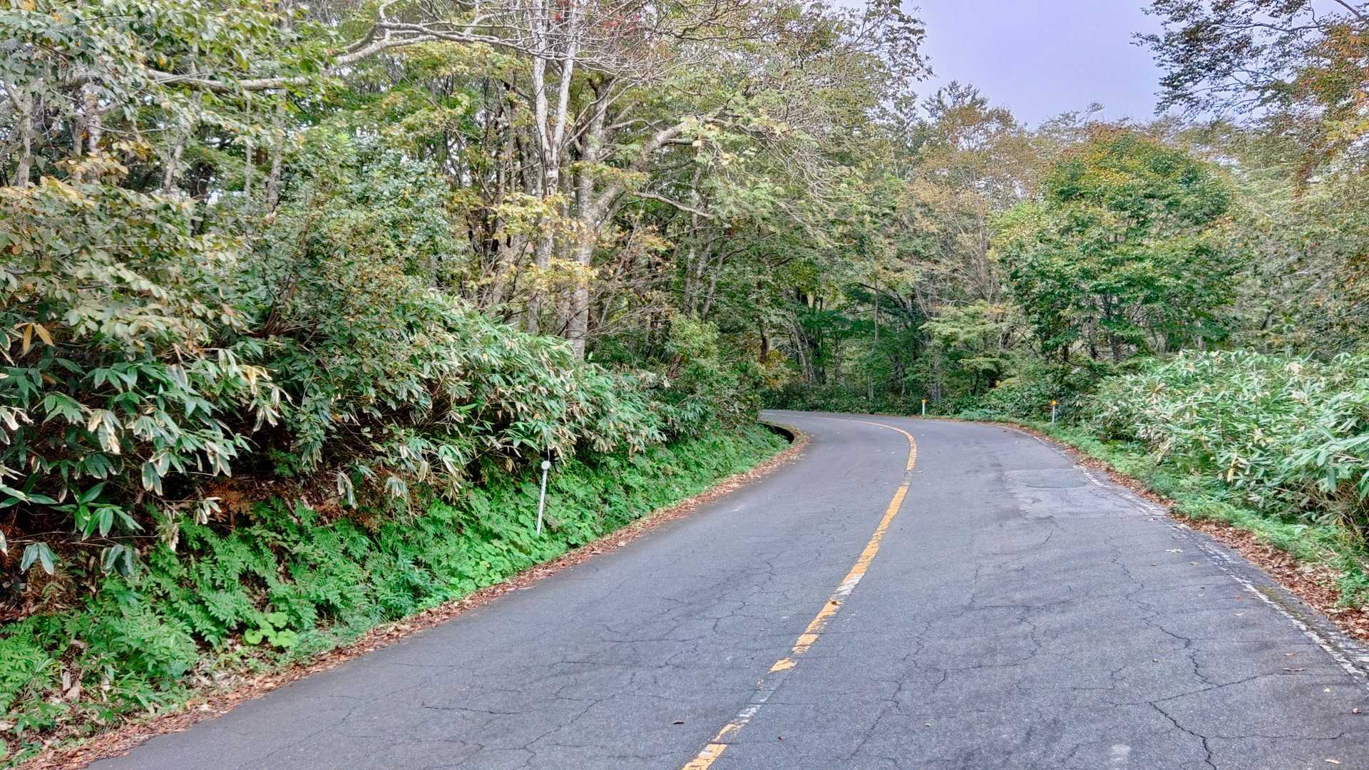 しばらくは舗装道路を歩きます。
余裕ですね。