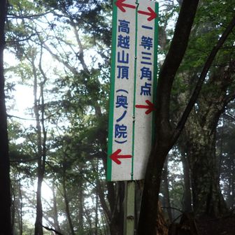 一等