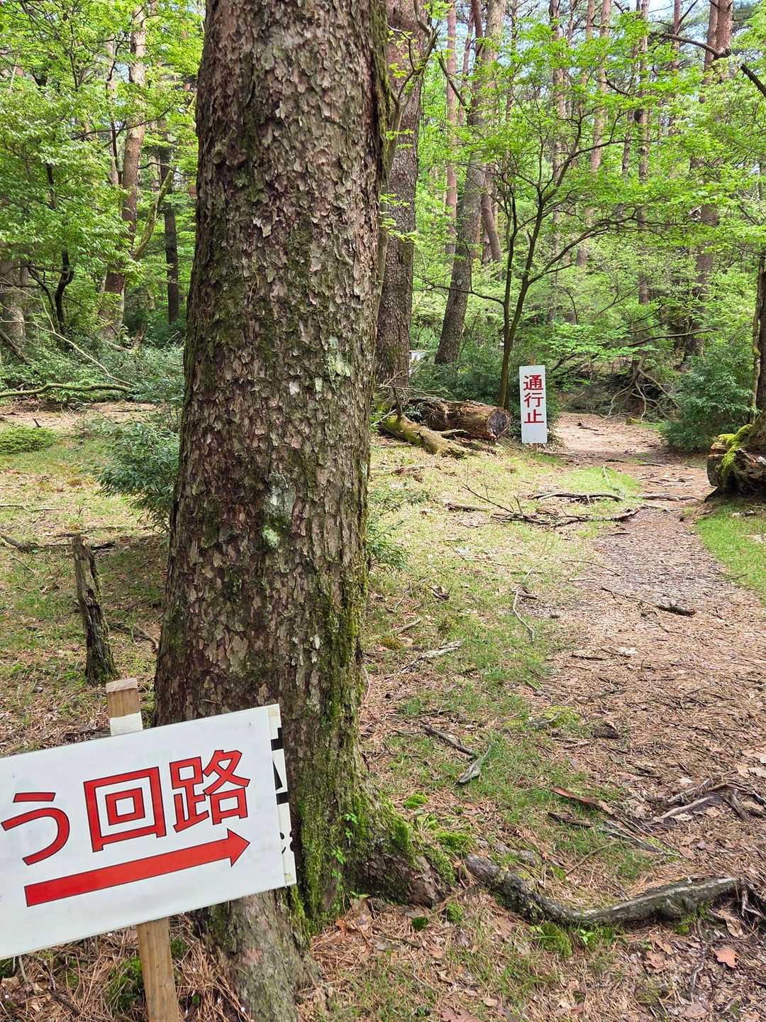 古くて趣があった橋は老朽化のため通行止め🚧